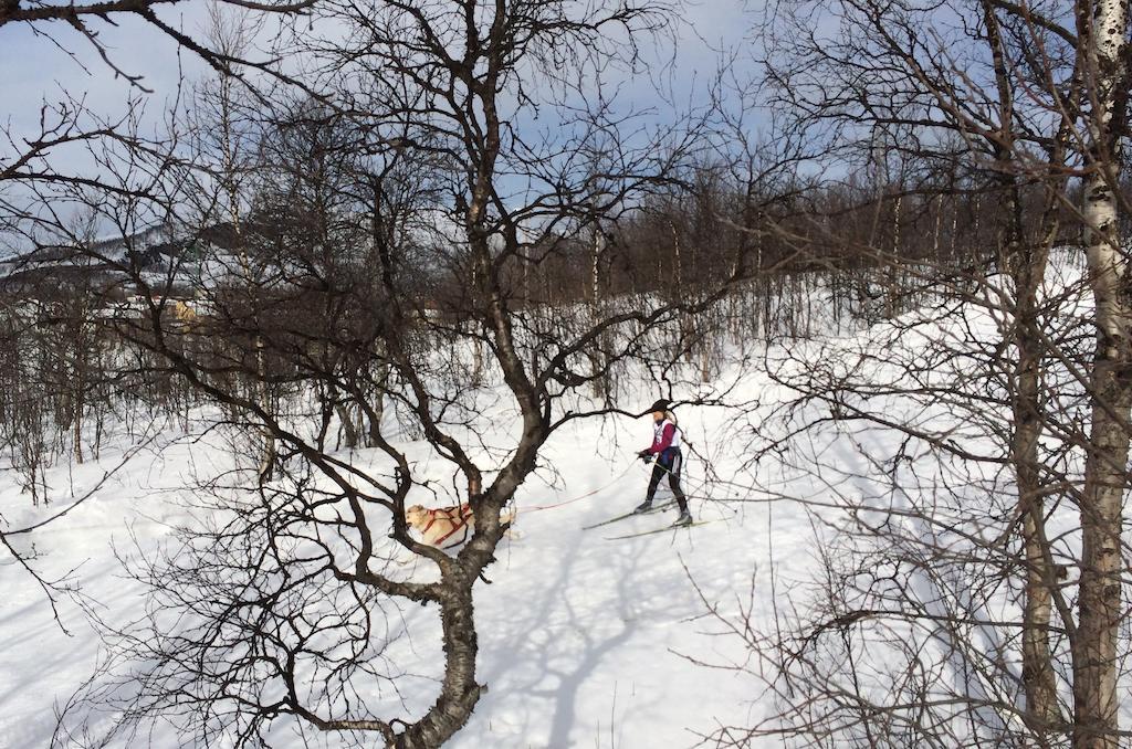 Stf Malmfaeltens Folkhoegskola Kiruna Bilik gambar